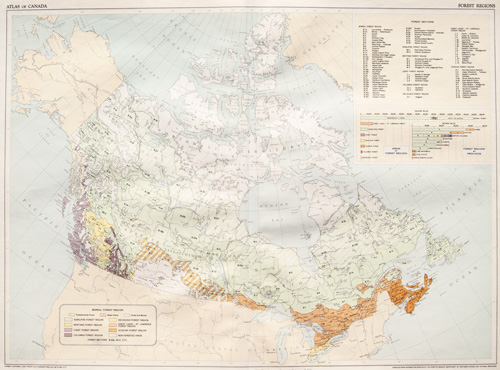 Forest Regions